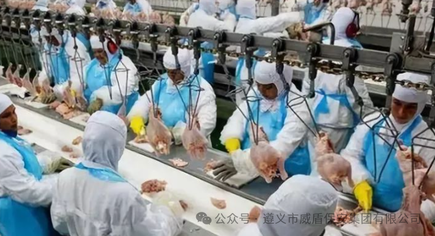 59_1760405980136413581.png 129606c5c7fdc44faae0ca0f4cdfe2b4.png